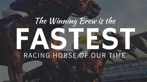 The fastest RACE HORSE: Winning Brew set a Guinness speed .